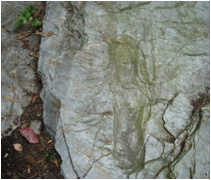 Petroglifos “As Fádegas - As pisadas do Encanto”